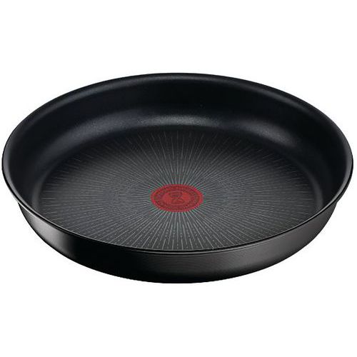 Poele Ingenio Eco Resist 20 Cm - Tefal Poele Ingenio Eco Resist 20 Cm - Tefal